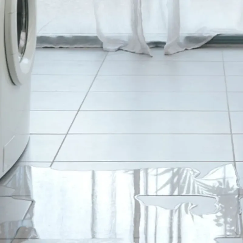 Appliance Leak Cleanup in Kyle, TX