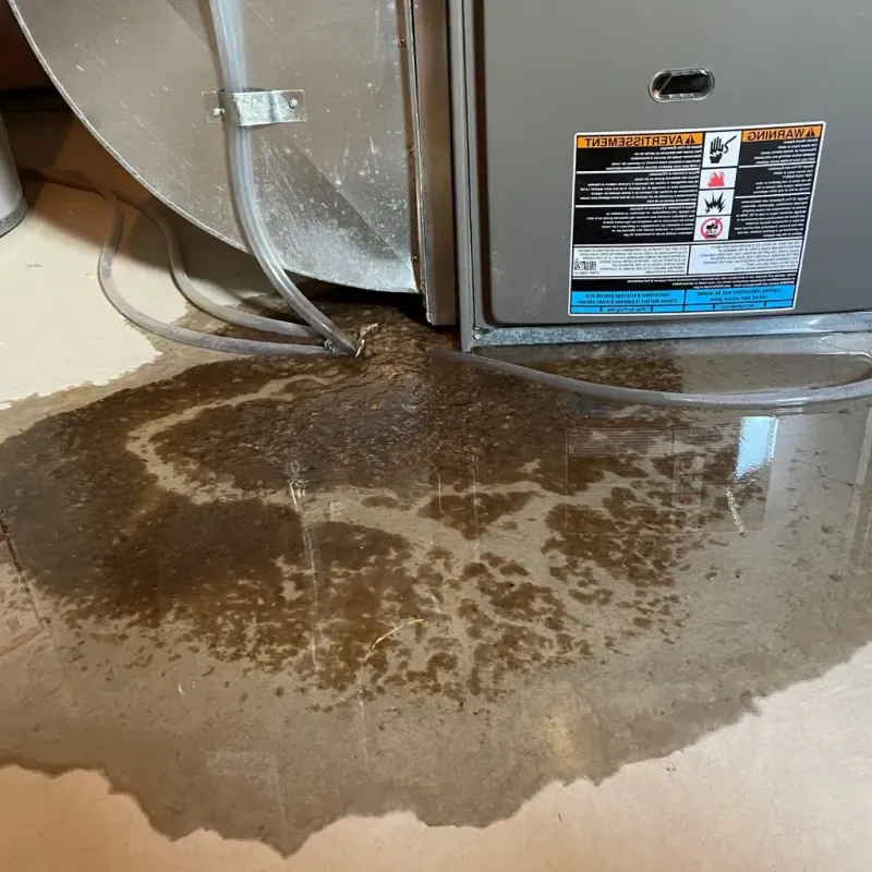 Pipe Burst and Leak Restoration in Kyle, TX
